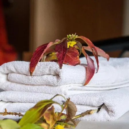 Hotell Dione By Open Dimitsana