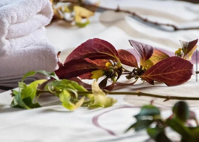 Dione By Open מלון דימיטסאנה