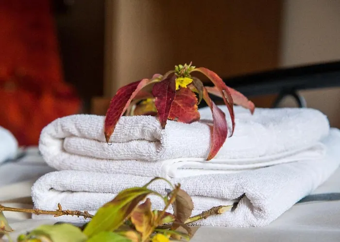 Hotel Dione By Open Dimitsana